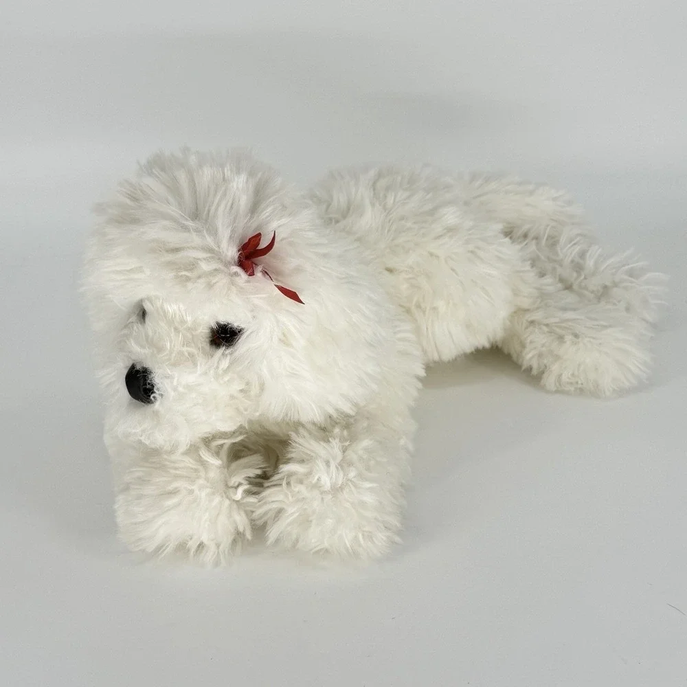 Douglas Marcelle Bichon Frise 22